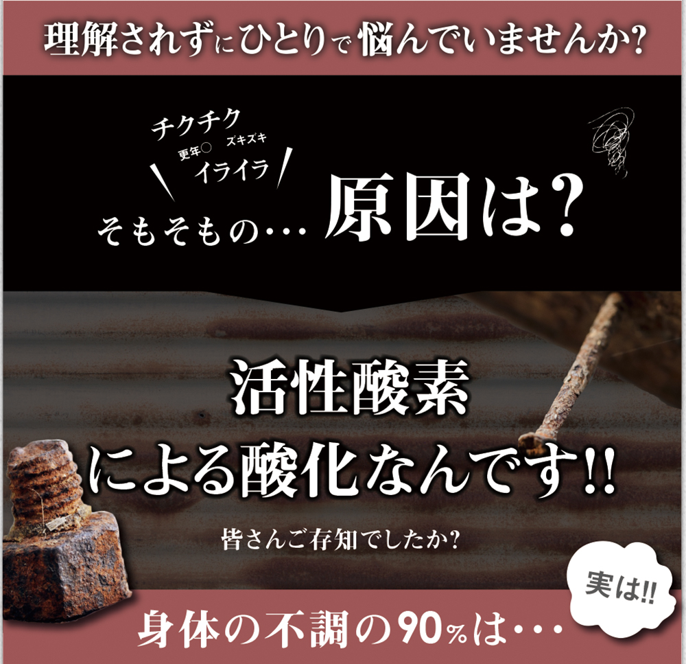 理解されずにひとりでなやんでいませんか？そもそもの原因は身体のサビ。活性酸素が原因なんです。身体の不調の90%は、活性酸素が関与していると言われています。