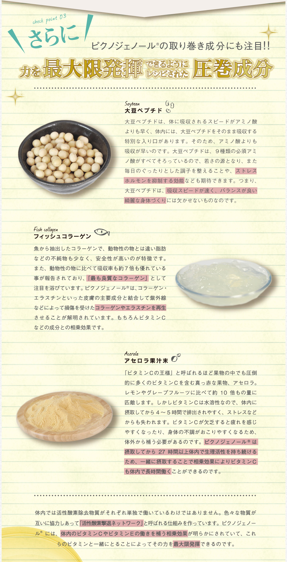 さらにピクノジェノールの取り巻き成分にも注目！ピクノジェノールの力を最大限発揮できるように大豆ペプチドやアセロラ、フィッシュコラーゲンなど配合しました。