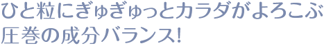 ひと粒にぎゅぎゅっとカラダがよろこぶ圧巻の成分バランス!