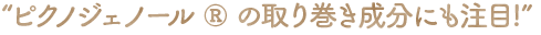 “ピクノジェノール ® の取り巻き成分にも注目!